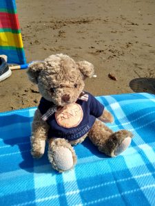 The Roy Newton Furniture Harry mascot relaxing on the beach!